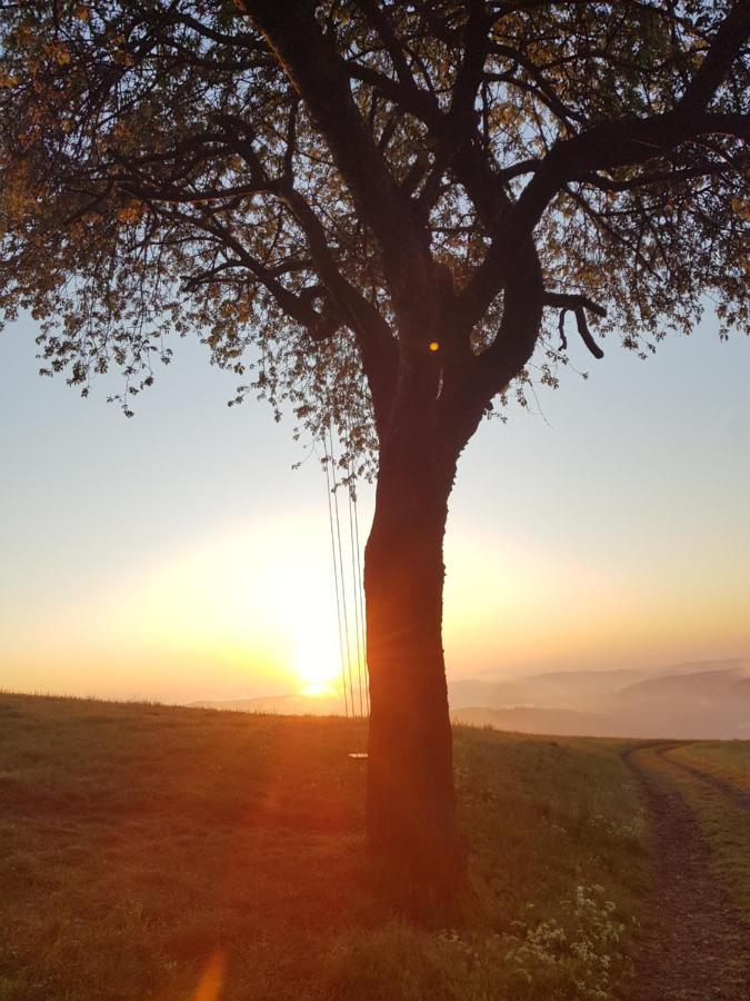 Sonnenschein Am Rursee Simmerath Ngoại thất bức ảnh